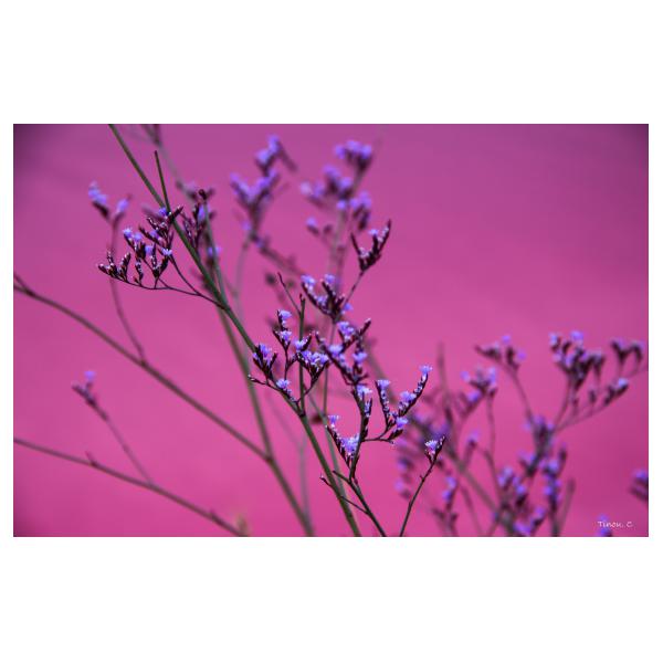 PHOTO84, CLUB, 84 , LUBERON